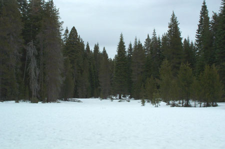 Snow