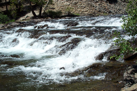 Rapid 1