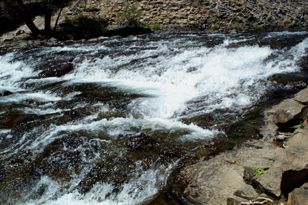 Rapid 2