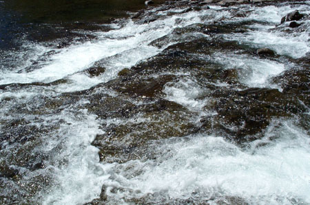 Rapid 3