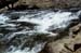 Rapid 2