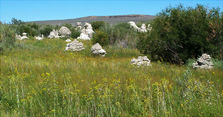Mono Lake - North 2