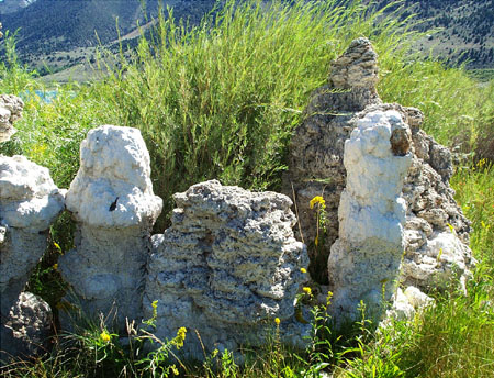 Mono Lake - North 3