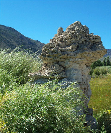 Mono Lake - North 4