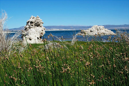 Mono Lake - North 5