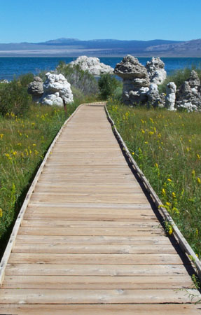 Mono Lake - North Path