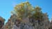 Mono Lake South - Tufa 0