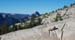 Half Dome from Tioga 1