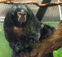 IMG_7640 copy
