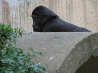 IMG_7651